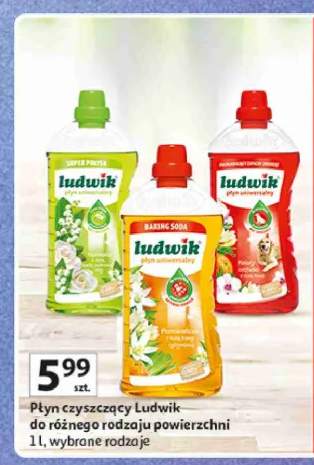 Płyn uniwersalny Kwiaty orchidei Ludwik