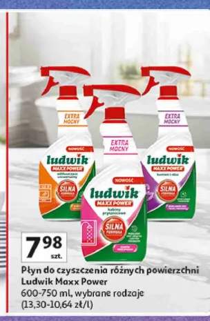 Płyn do czyszczenia odtłuszczacz uniwersalny Ludwik Maxx Power