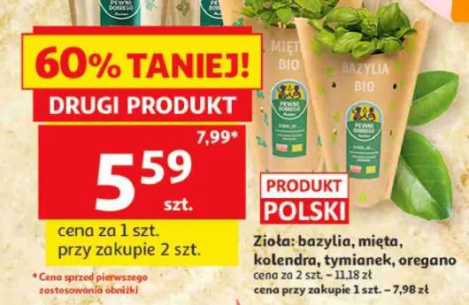 Zioła bazylia Pewni Dobrego