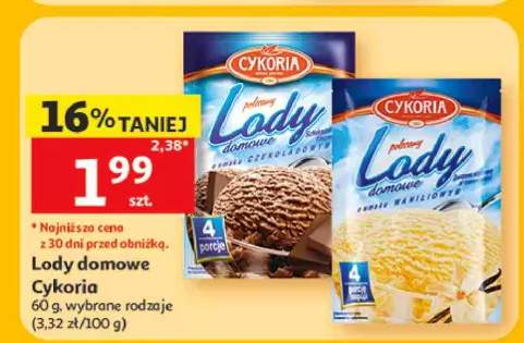 Lody domowe o smaku waniliowym Cykoria