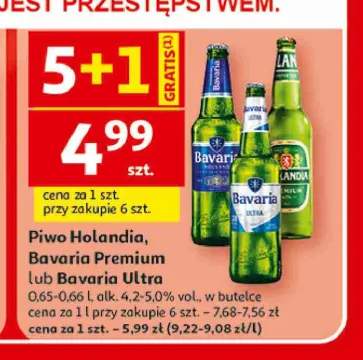 Piwo Holandia +2 warianty