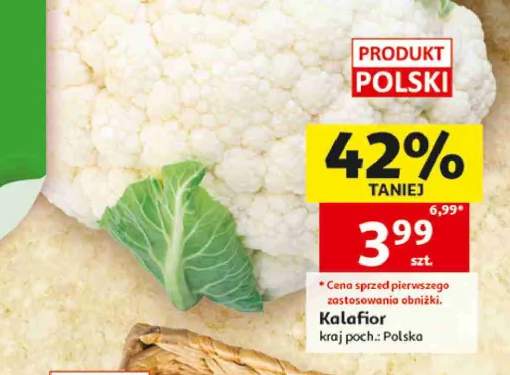 Kalafior polski