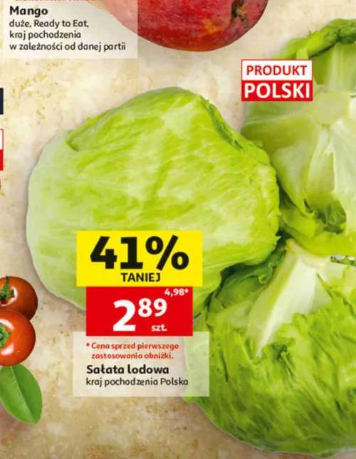 Sałata lodowa polska