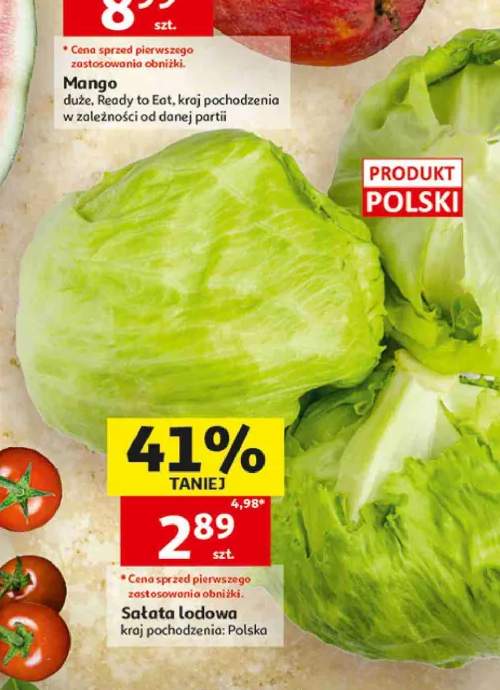 Sałata lodowa polska