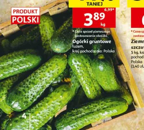 Ogórki gruntowe polskie