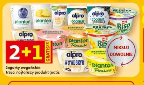 Jogurt wegański Alpro +2 warianty