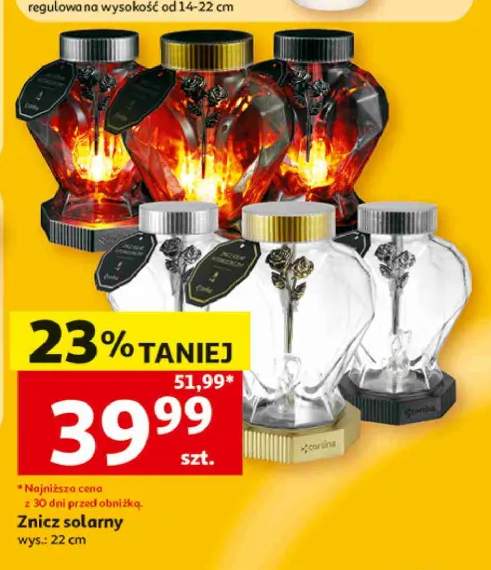 Znicz solarny Cortina