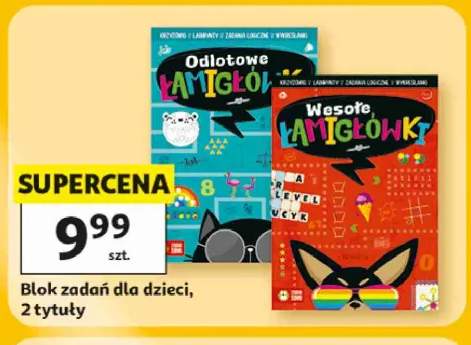 Blok zadań dla dzieci Odlotowe Łamigłówki +1 wariant