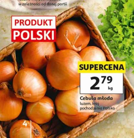 Cebula młoda polska