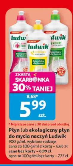 Płyn do mycia naczyń Ludwik +1 wariant