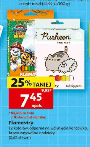 Flamastry Pusheen