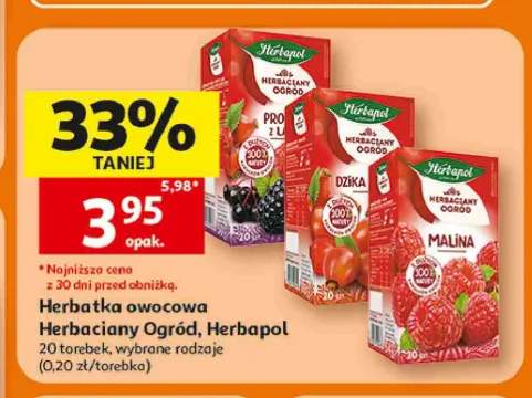 Herbatka owocowa Herbaczany Ogród Prosto z Lasu Herbapol +2 warianty