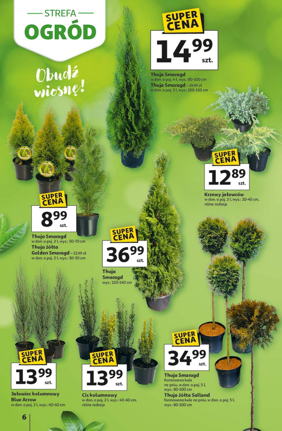 Gazetka – strona 6