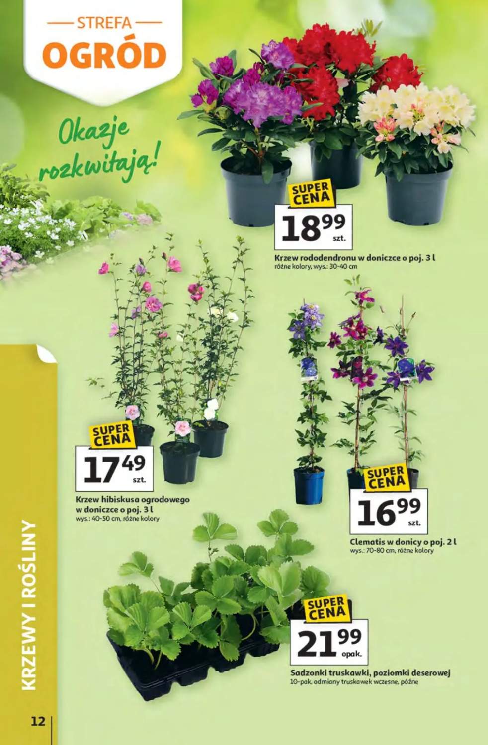 Gazetka – strona 12