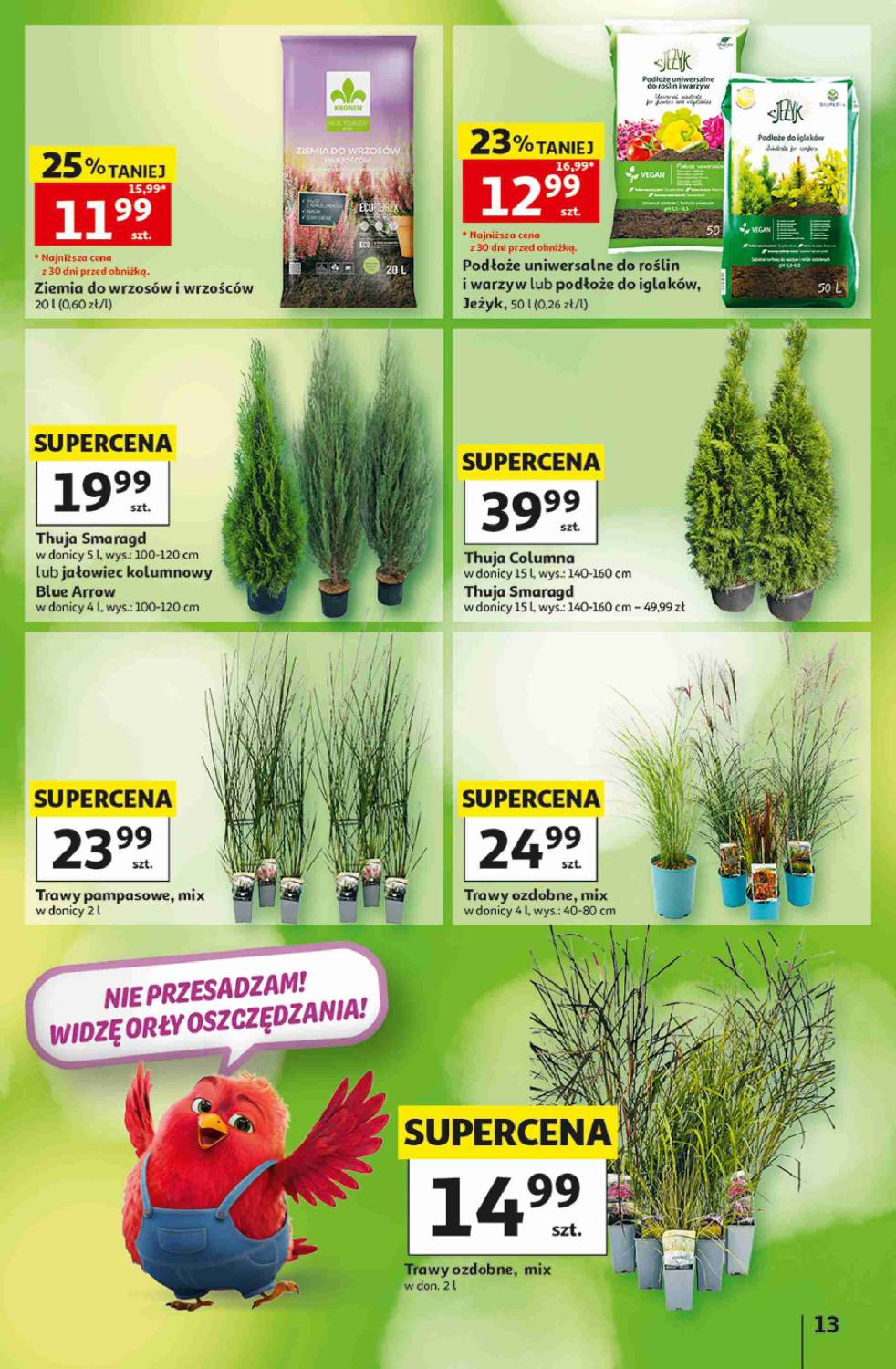 Gazetka – strona 13